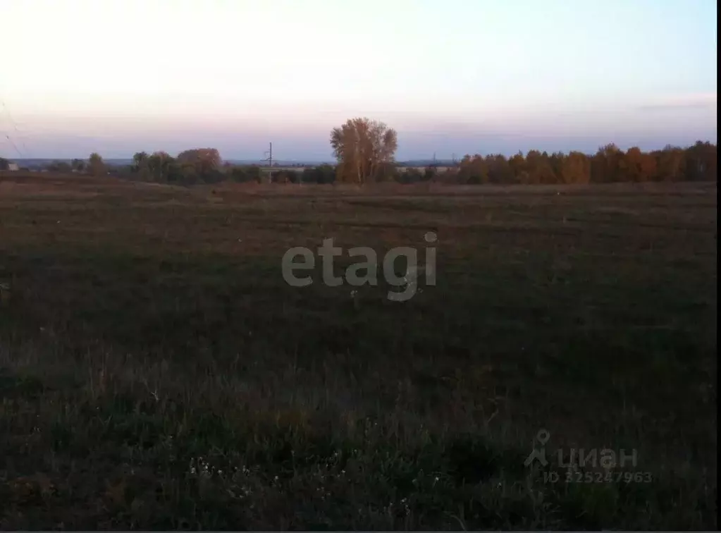 Участок в Новосибирская область, Коченевский район, д. Крохалевка  ... - Фото 2