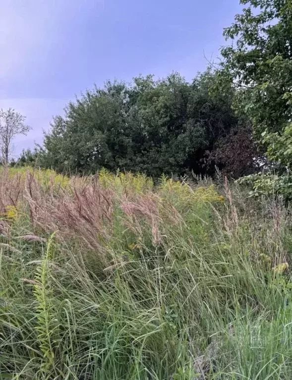 Участок в Калужская область, Калуга городской округ, д. Плетеневка ул. ... - Фото 2