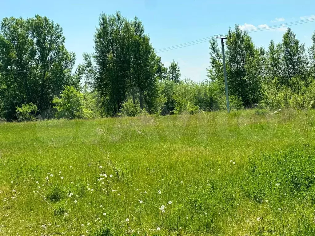 Участок 6 сот. (СНТ, ДНП) - Фото 0