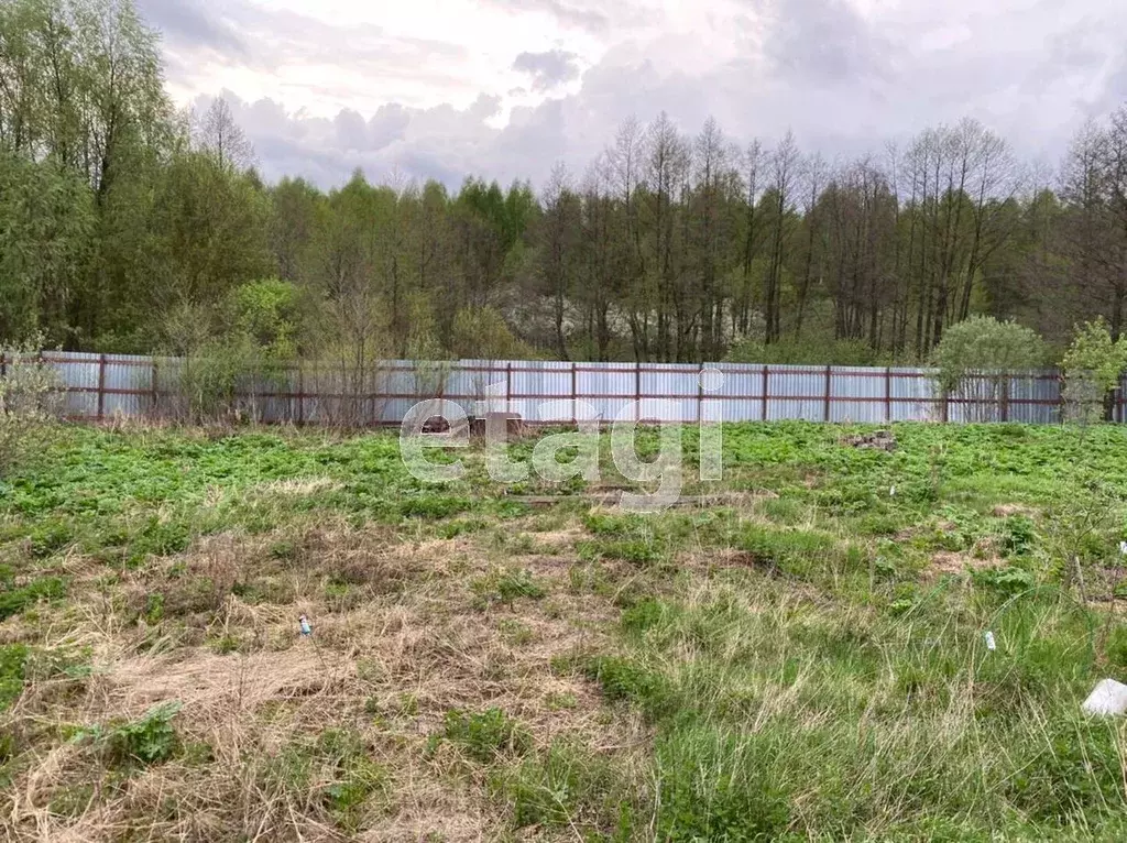 Участок в Владимирская область, Муромский район, Ковардицкое ... - Фото 1