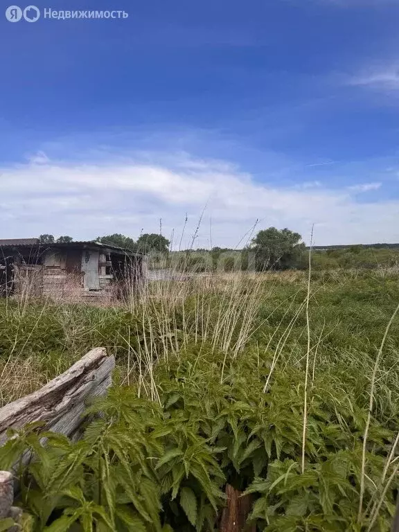 Участок в Шадринск, Набережная улица (22.6 м) - Фото 0