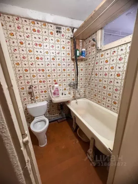 1-к кв. Курганская область, Шадринск ул. Ломоносова, 12 (28.0 м) - Фото 1