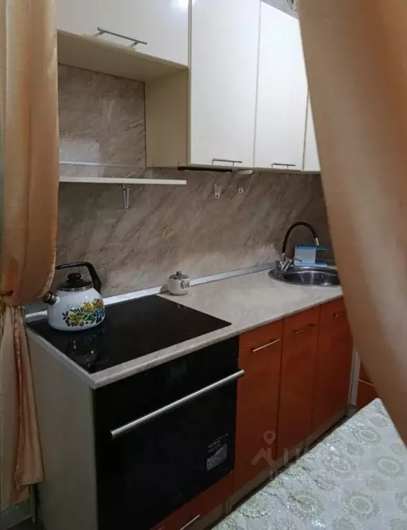 Студия Пензенская область, Пензенский район, Засечный сельсовет, с. ... - Фото 1