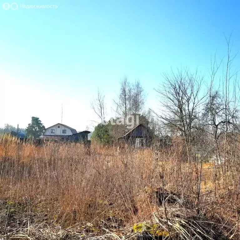 Участок в Петушинский район, муниципальное образование Нагорное, ... - Фото 0