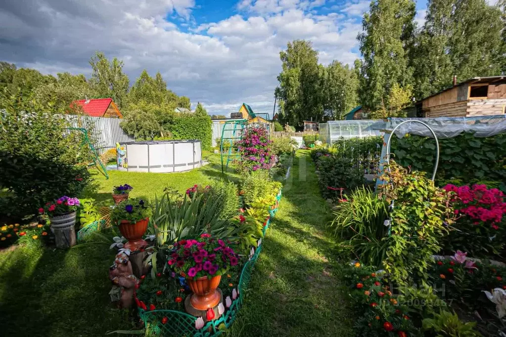 Дом в Новосибирская область, Бердск Вега-3 СНТ, 615 (33 м) - Фото 0