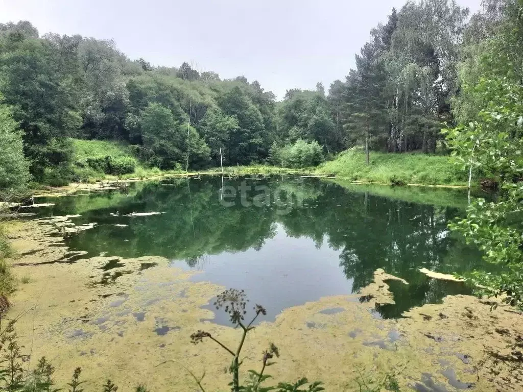 участок в ульяновская область, тереньгульский район, подкуровское . - Фото 1