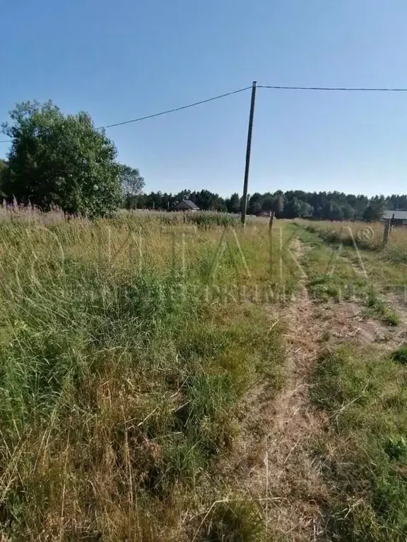 Участок в Ленинградская область, Выборгский район, Гончаровское с/пос, ... - Фото 0