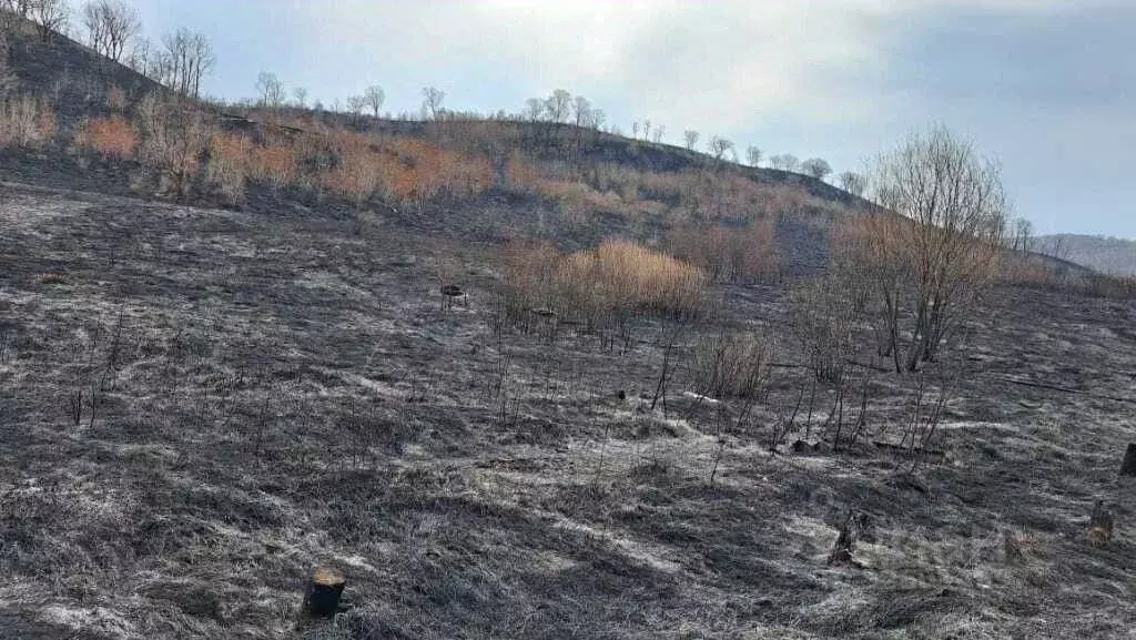 Участок в Амурская область, Благовещенск пос. Моховая Падь, ул. ... - Фото 2