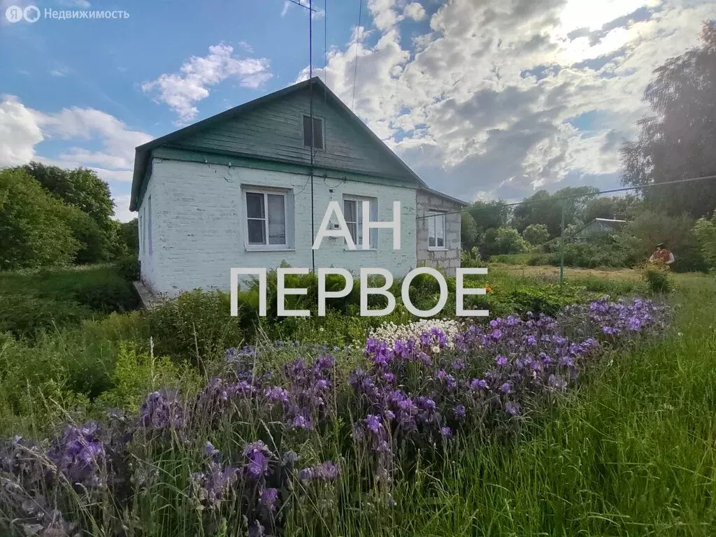 Дом в село Ленино, Колхозная улица, 29 (50.3 м) - Фото 1