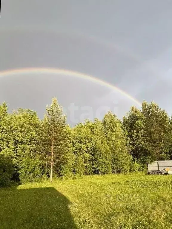 Дом в Коми, Сыктывдинский район, Выльгорт муниципальное образование, ... - Фото 2