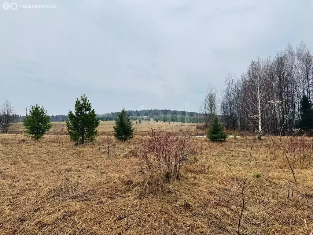 Участок в Пермский муниципальный округ, посёлок Красный Восход (20.55 ... - Фото 2