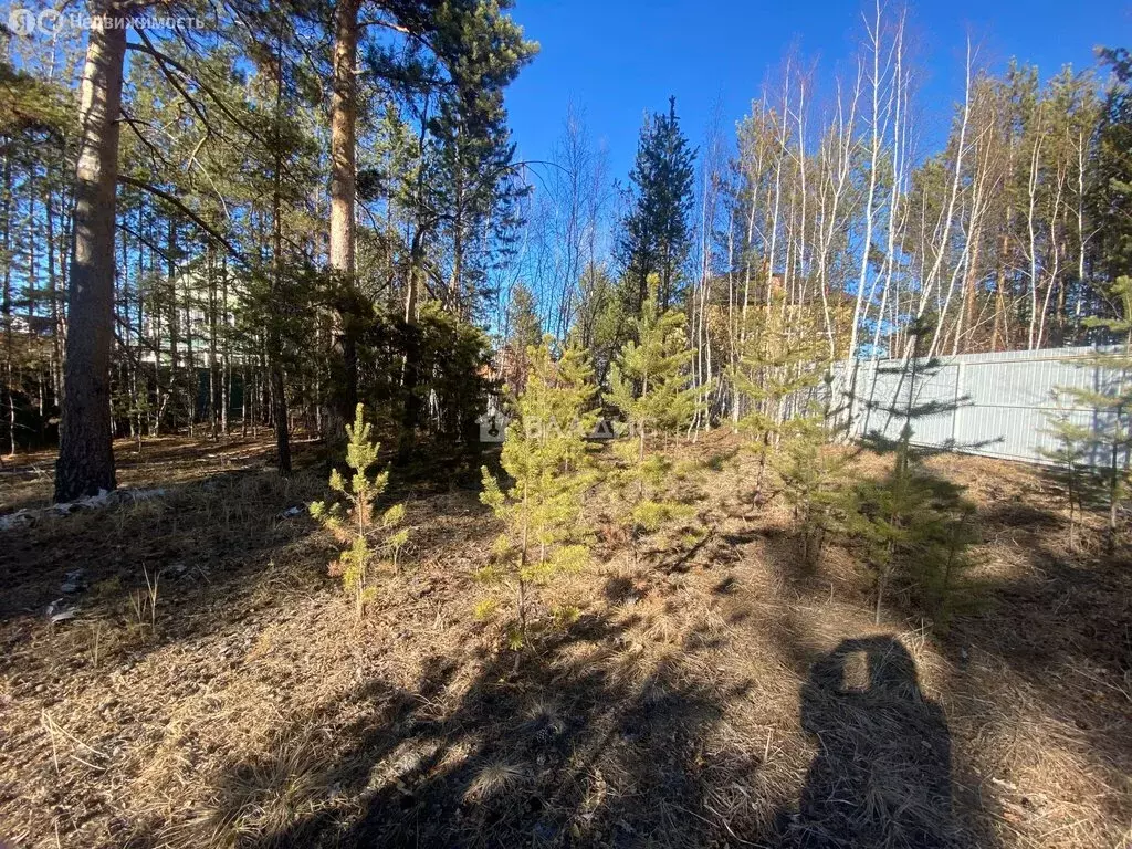 Участок в Читинский район, ДНП Титан (12.61 м) - Фото 1