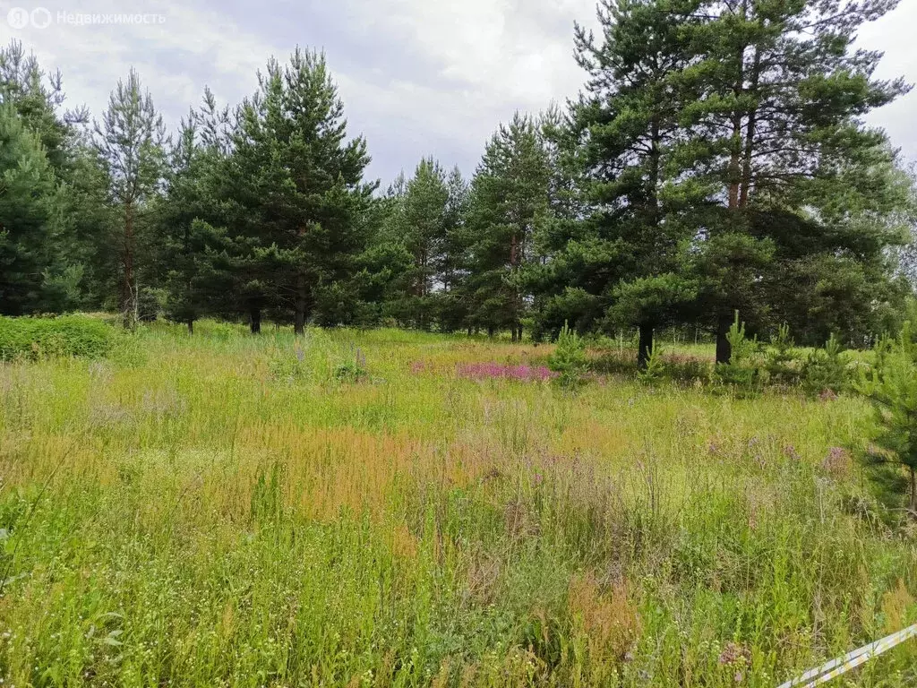 Участок в село Ильинский Погост, Садовая улица (15 м) - Фото 1