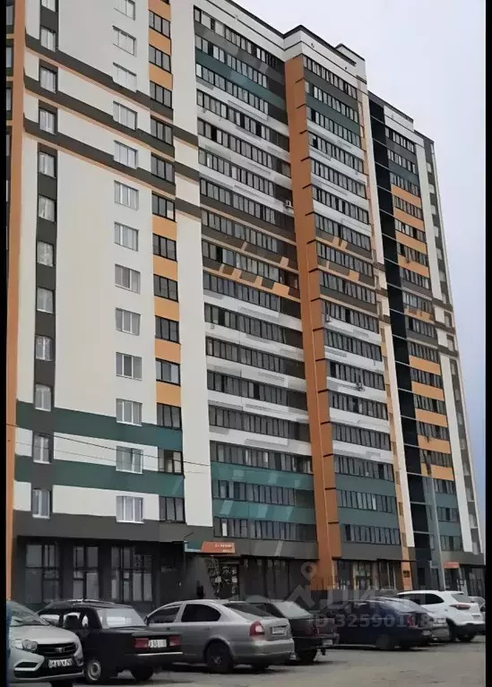 Студия Воронежская область, Воронеж Ростовская ул., 100БкБ (25.0 м) - Фото 2