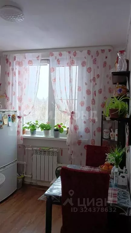 1-к кв. Новосибирская область, Коченево рп 137 (30.1 м) - Фото 2