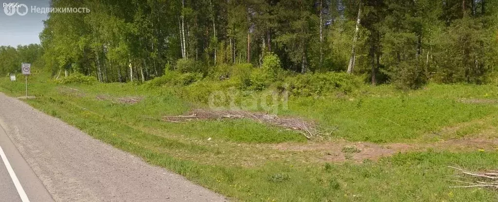 Участок в Майминский район, посёлок Турбаза Юность (20 м) - Фото 0