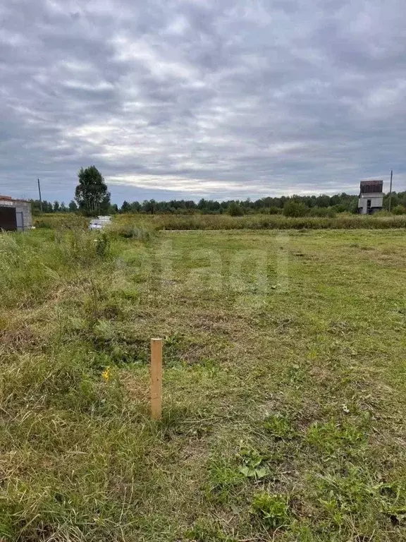 Участок в Удмуртия, Можгинский район, д. Малая Сюга ул. Малиновская ... - Фото 1