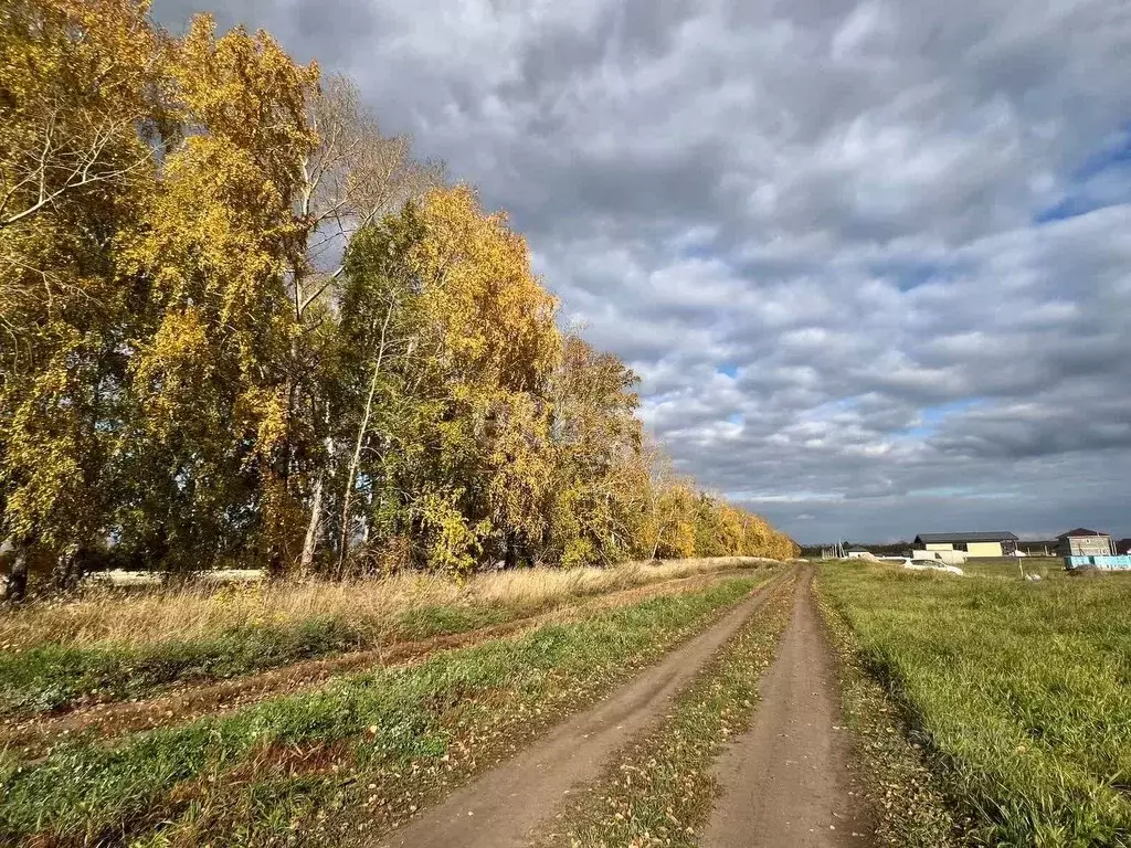 Участок в Алтайский край, Павловский район, Молодежный ДНТ  (10.0 ... - Фото 1