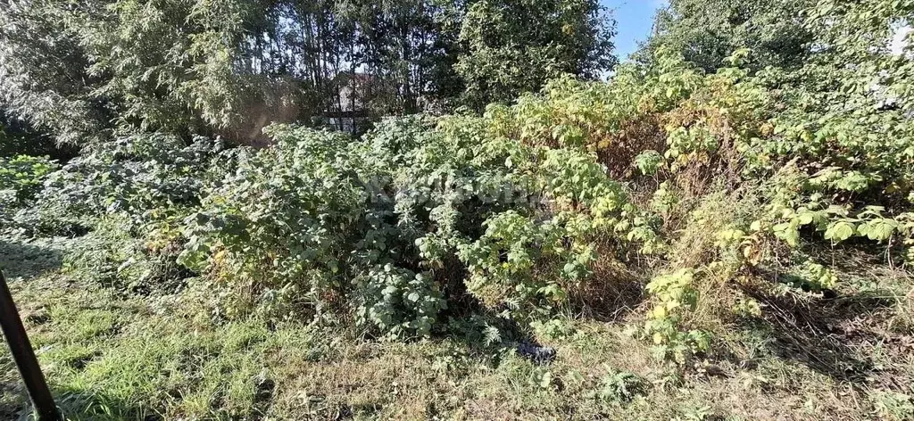 Участок в Архангельская область, Архангельск ул. Ленина (9.6 сот.) - Фото 1