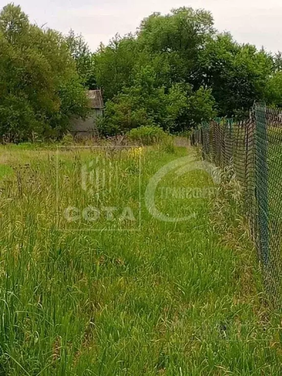 Участок в Воронежская область, Семилукский район, с. Медвежье Заречная ... - Фото 2