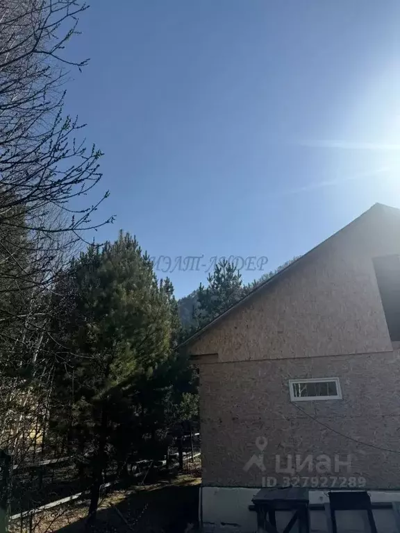 Дом в Алтай, Чемальский район, с. Чемал  (66 м) - Фото 2