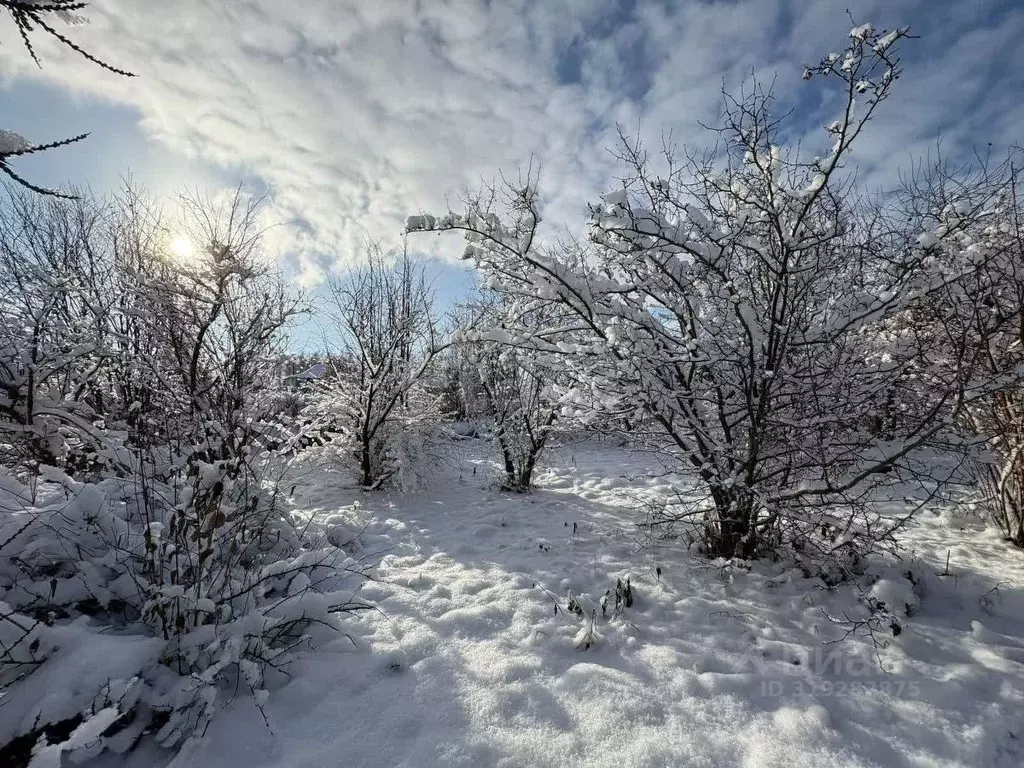 Участок в Алтайский край, Бийский район, с. Малоенисейское Набережная ... - Фото 1