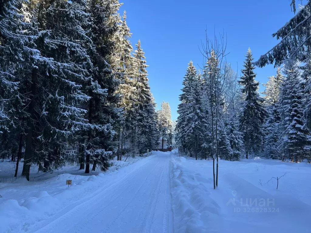 Участок в Московская область, Истра муниципальный округ, пос. Северный ... - Фото 1