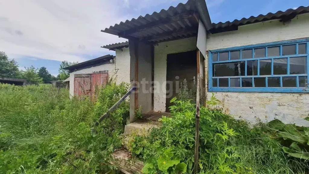 Дом в Белгородская область, Волоконовский район, с. Фощеватово ул. ... - Фото 1