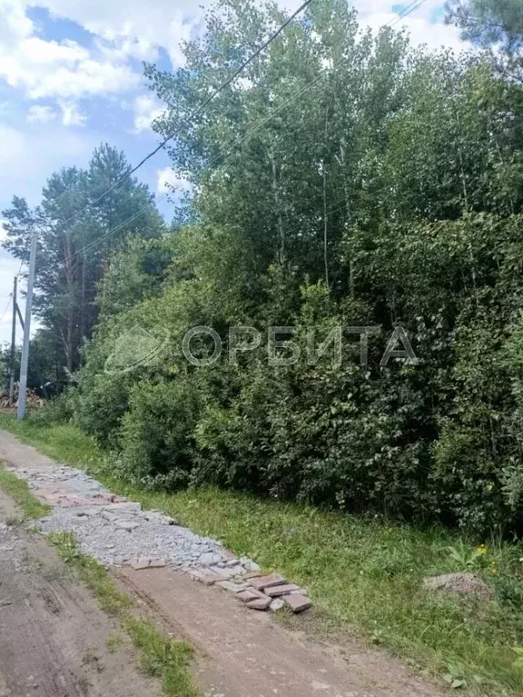 Участок в Тюменская область, Тюменский муниципальный округ, Янтарное ... - Фото 1
