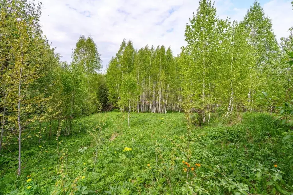 Участок в Томская область, Томск пос. Родионово,  (15.0 сот.) - Фото 1