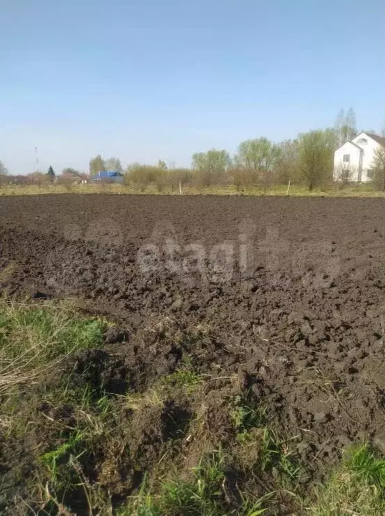 Купить Дом В Забугорье Верхнехавского Района