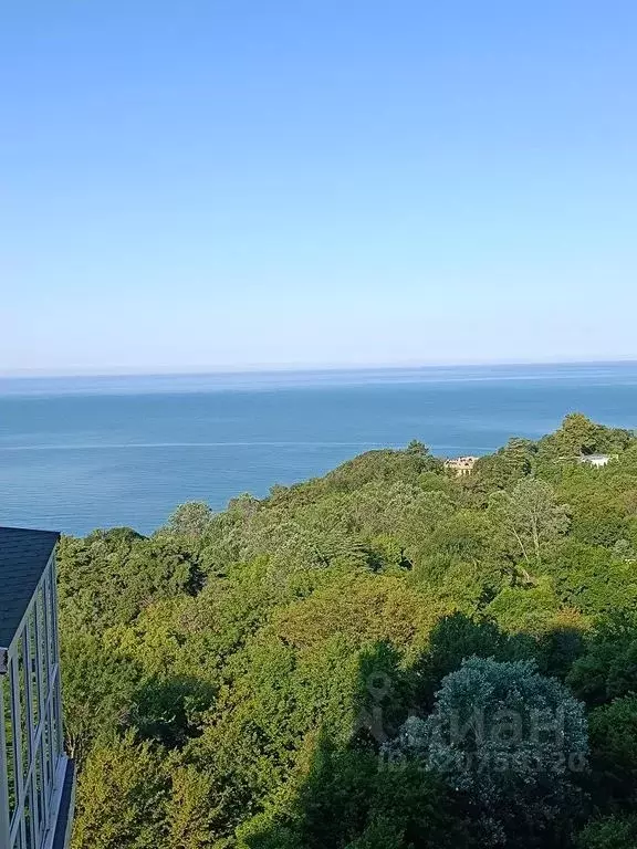 2-к кв. Краснодарский край, Сочи Малый Ахун мкр, ул. Дорога на Большой ... - Фото 0