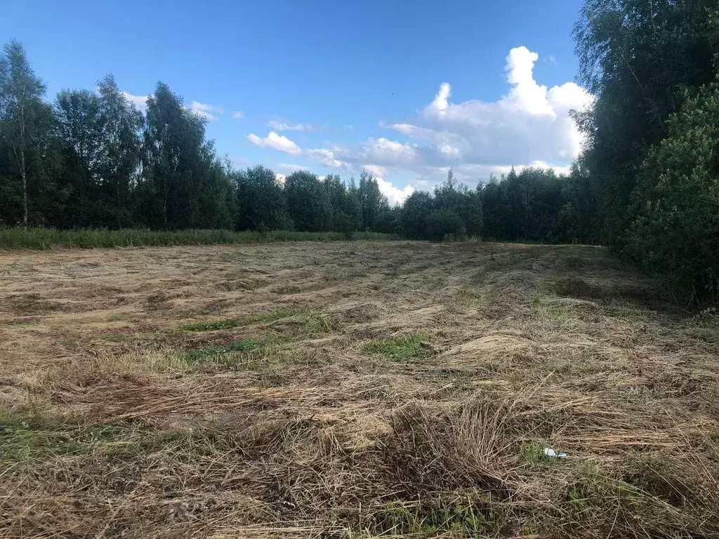 Участок в Ярославская область, Рыбинский муниципальный округ, с. ... - Фото 1