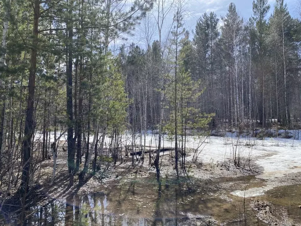 Участок в Свердловская область, Дегтярск городской округ, пос. Бережок ... - Фото 1