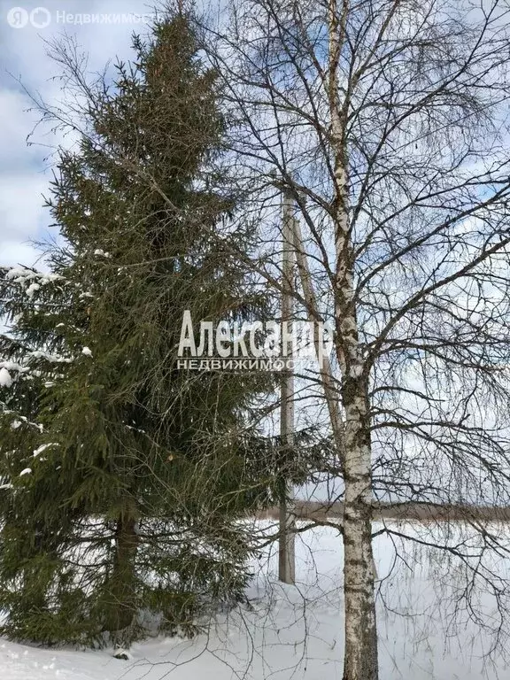 Участок в Ленинградская область, Гатчинский муниципальный округ, ... - Фото 2