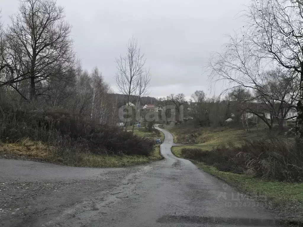 Участок в Брянская область, Брянский район, Снежское с/пос, с. ... - Фото 2