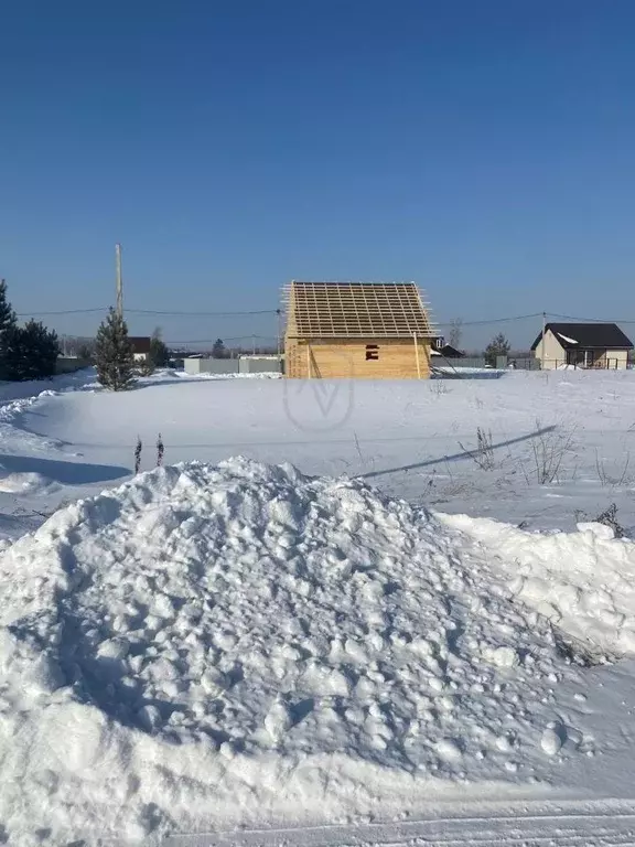 Участок в Новосибирская область, Новосибирский район, Кубовинский ... - Фото 1