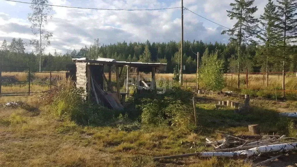 Участок в Свердловская область, Ревда муниципальный округ, с. Мариинск ... - Фото 0