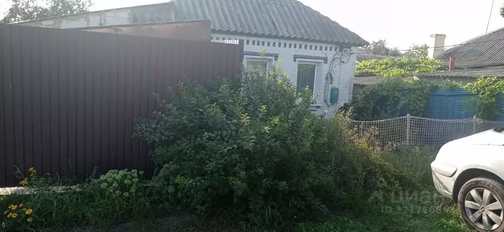 Дом в Белгородская область, Корочанский район, Алексеевское с/пос, с. ... - Фото 1