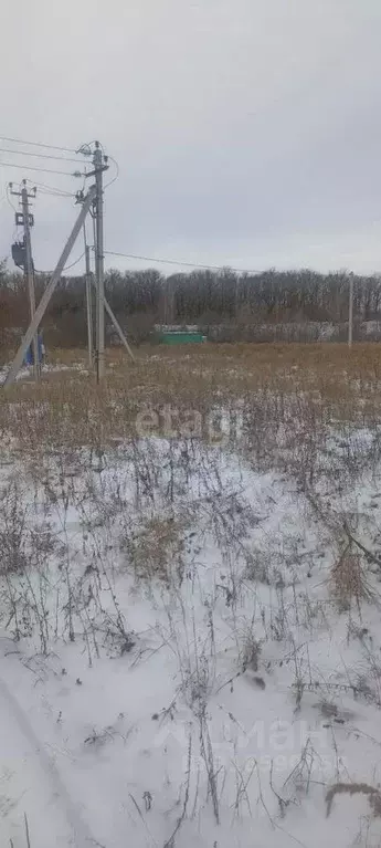Участок в Белгородская область, Белгородский район, Беломестненское ... - Фото 0