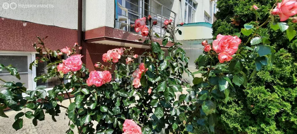 2-комнатная квартира: посёлок городского типа Новомихайловский, ... - Фото 0