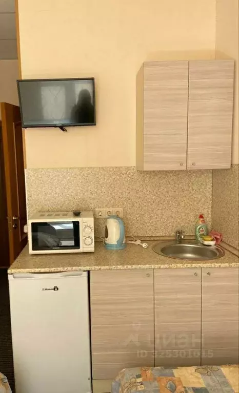 Студия Санкт-Петербург Лермонтовский просп., 10/53 (20.0 м) - Фото 1