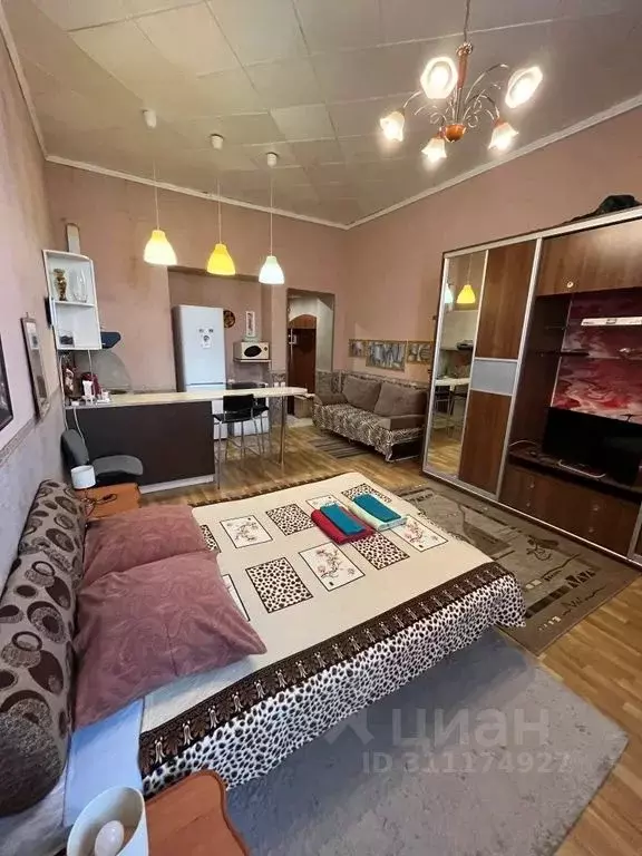 Студия Омская область, Омск ул. Профинтерна, 10 (30.0 м) - Фото 0