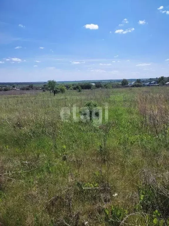 Участок в Ульяновская область, Ульяновск городской округ, с. Луговое  ... - Фото 0