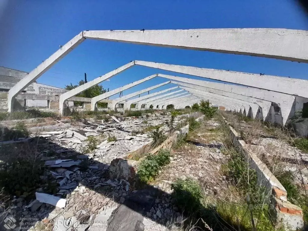 Производственное помещение в Курская область, Щигровский район, с. ... - Фото 0