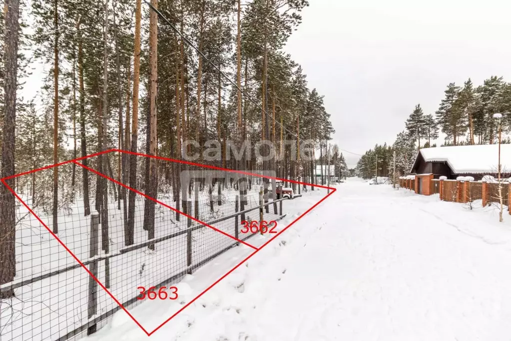 Участок в Ханты-Мансийский АО, Сургутского муниципального района тер., ... - Фото 0
