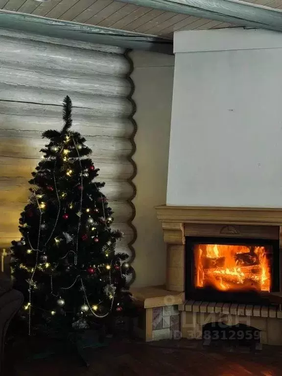 Дом в Пермский край, Добрянка ул. Береговая, 36 (85 м) - Фото 2