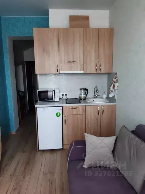 Студия Краснодарский край, Сочи Виноградная ул., 89/2 (17.0 м) - Фото 1