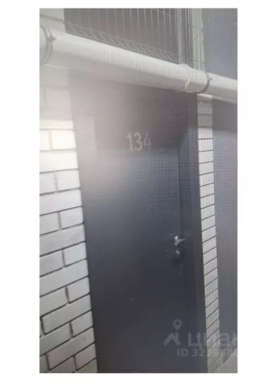 Помещение свободного назначения в Новосибирская область, Новосибирск ... - Фото 1