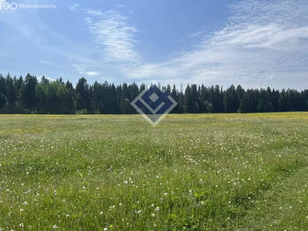 Участок в Пермский муниципальный округ, деревня Дикая Гарь (1167 м) - Фото 1